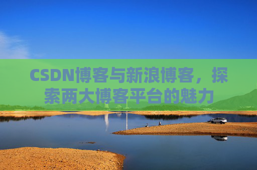 CSDN博客与新浪博客，探索两大博客平台的魅力